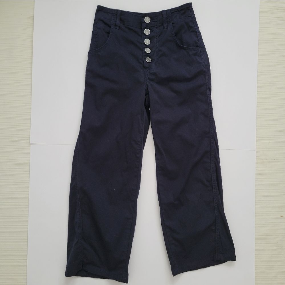 Joie button down fly pants